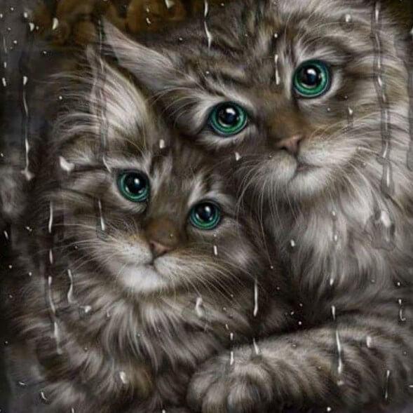 Cats Pair & Rainy Glass Window - diamond-painting-bliss.myshopify.com