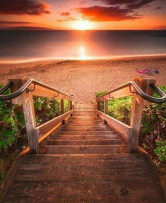 Chase the Sunset - Paint by Diamonds - diamond-painting-bliss.myshopify.com