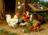 Chickens & Pigeons Diamond Painting - diamond-painting-bliss.myshopify.com