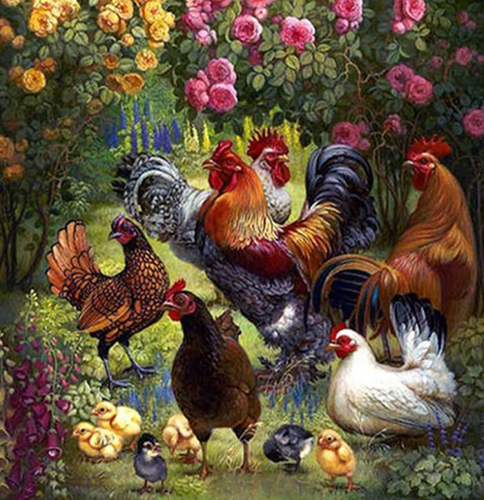 Chickens in the Garden - diamond-painting-bliss.myshopify.com