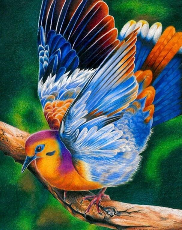 Colorful Dove Painting Kit - diamond-painting-bliss.myshopify.com