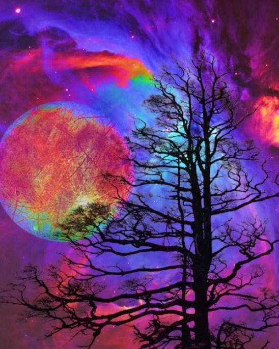 Colorful Galaxy & Barren Trees - diamond-painting-bliss.myshopify.com