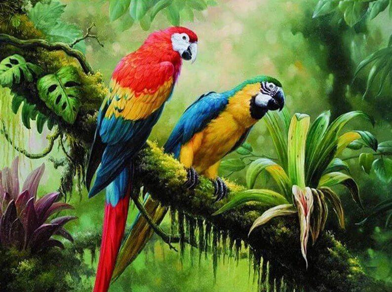 Colorful Parrots in Forest - diamond-painting-bliss.myshopify.com