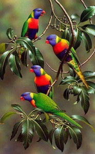 Colorful Parrots on Tree Branches - diamond-painting-bliss.myshopify.com