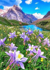Columbine Flower in Mountains - diamond-painting-bliss.myshopify.com