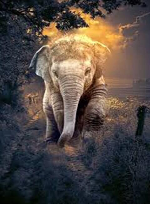 Cute Baby Elephant - diamond-painting-bliss.myshopify.com