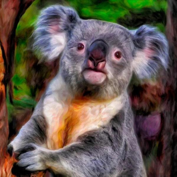 Cute Baby Koala - Paint by Diamonds - diamond-painting-bliss.myshopify.com