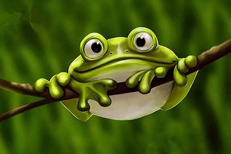 Cute Froggy - Paint by Diamonds - diamond-painting-bliss.myshopify.com
