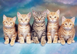 Cute Group of Cats Diamond Painting - diamond-painting-bliss.myshopify.com