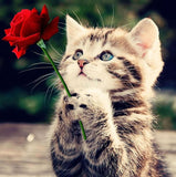 Cute Kitten with Red Rose - diamond-painting-bliss.myshopify.com