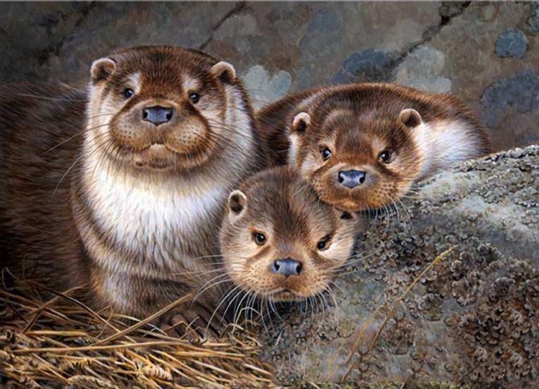 Cute Otter Babies - Diamond Painting Kit - diamond-painting-bliss.myshopify.com