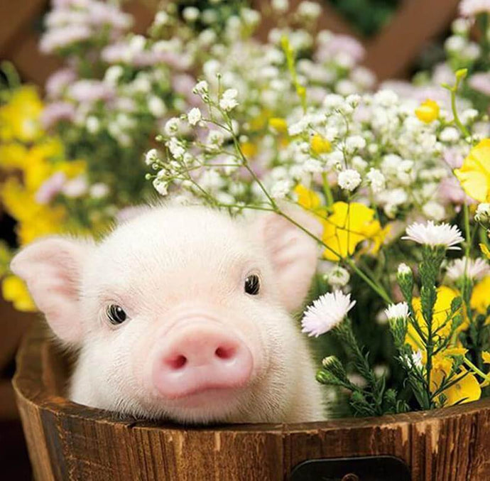Cute Pig & Flowers - diamond-painting-bliss.myshopify.com