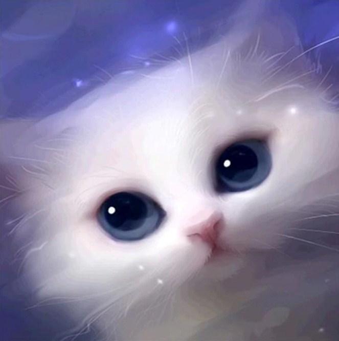 Cute White Cat with Blue Eyes - diamond-painting-bliss.myshopify.com