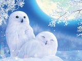 Cute White Owls Pair - diamond-painting-bliss.myshopify.com