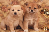 Cutest Puppies Diamond Painting Kit - diamond-painting-bliss.myshopify.com