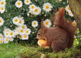 Daisy Flowers & Squirrels Diamond Painting - diamond-painting-bliss.myshopify.com
