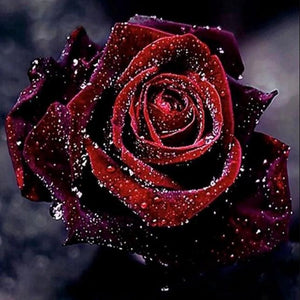 Dark Red Rose with Water Drops - diamond-painting-bliss.myshopify.com