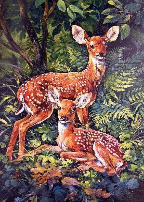 A Pair of Loving Deer - Diamond Painting House