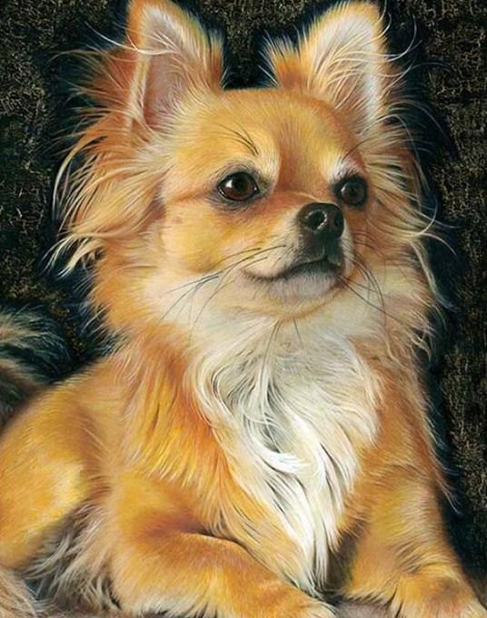 Chihuahua Diamond Painting - diamond-painting-bliss.myshopify.com