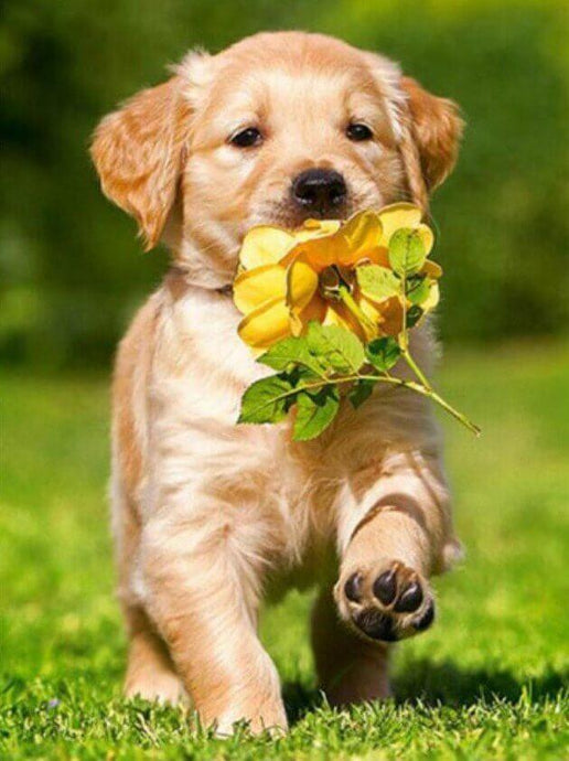 Dog Running with Flower in Mouth - diamond-painting-bliss.myshopify.com