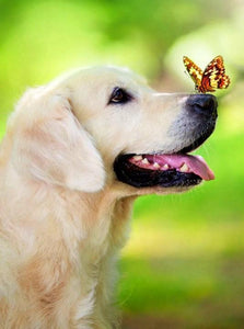 Dog with Butterfly on his Nose - diamond-painting-bliss.myshopify.com