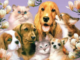Dogs & Cats are Friends - diamond-painting-bliss.myshopify.com