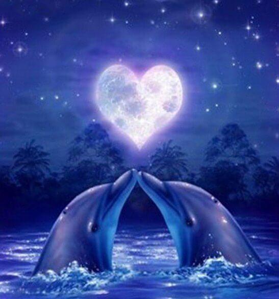 Dolphins Pair in Love - diamond-painting-bliss.myshopify.com