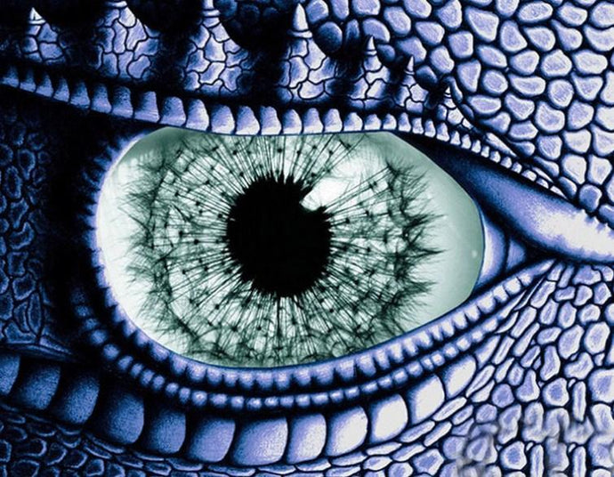 Dragon Eye - Paint by Diamonds - diamond-painting-bliss.myshopify.com