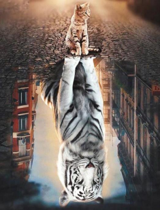 Dream Big Diamond Painting - diamond-painting-bliss.myshopify.com