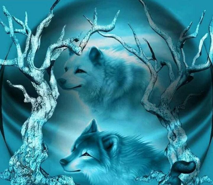 Dream Wolves Diamond Painting - diamond-painting-bliss.myshopify.com