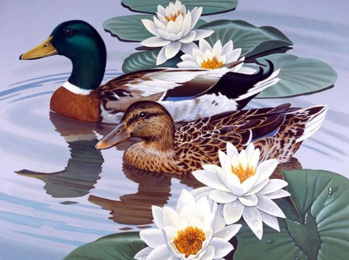 Ducks Pair & White Lotus - diamond-painting-bliss.myshopify.com