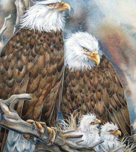 Eagle Family in the Nest - diamond-painting-bliss.myshopify.com