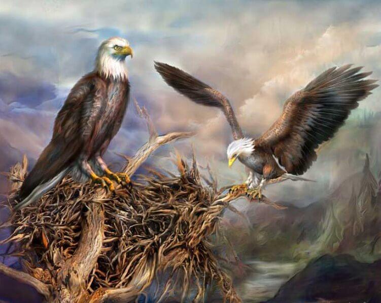 Eagle Nest Diamond Painting - diamond-painting-bliss.myshopify.com