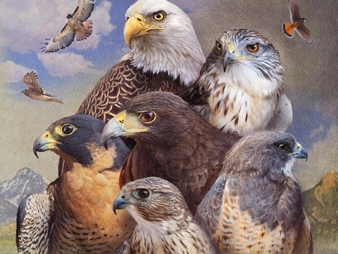 Eagle's Squad - diamond-painting-bliss.myshopify.com