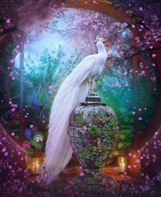 Elegant White Peacock - diamond-painting-bliss.myshopify.com