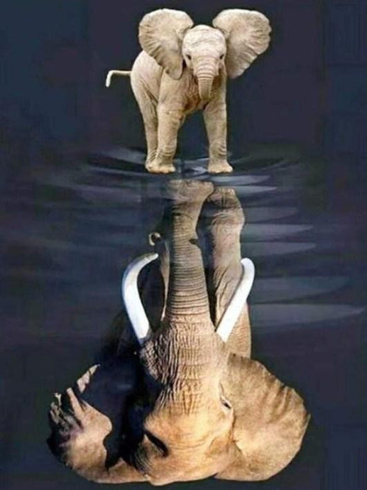 Elephant Dreaming Big - Paint by Diamonds - diamond-painting-bliss.myshopify.com
