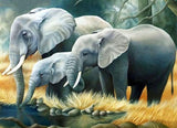 Elephant Family Drinking Water - diamond-painting-bliss.myshopify.com