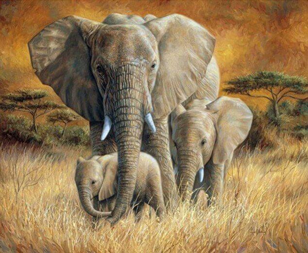 Elephant Family in the Forest - diamond-painting-bliss.myshopify.com