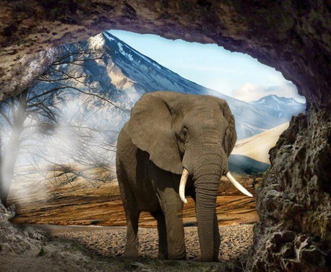 Elephant in the Cave - diamond-painting-bliss.myshopify.com