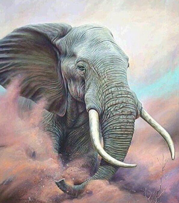 Elephant with Big Teeth - diamond-painting-bliss.myshopify.com