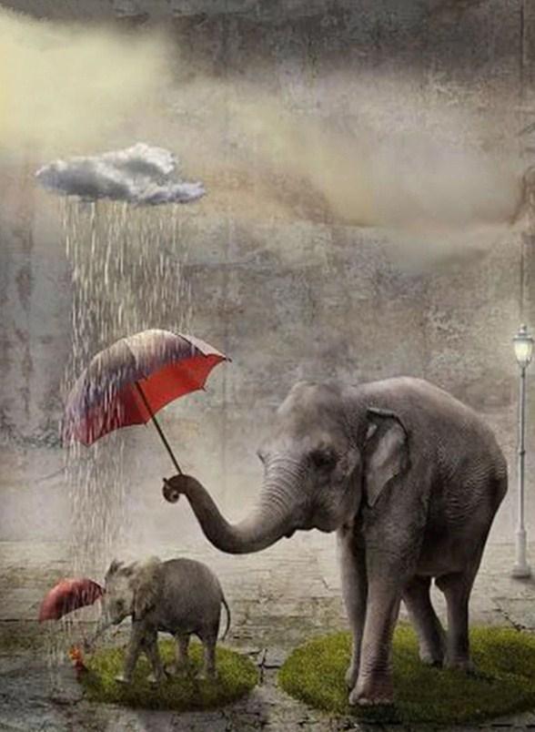 Elephants with Umbrellas - diamond-painting-bliss.myshopify.com