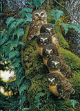 Family of Owls on the Tree - diamond-painting-bliss.myshopify.com