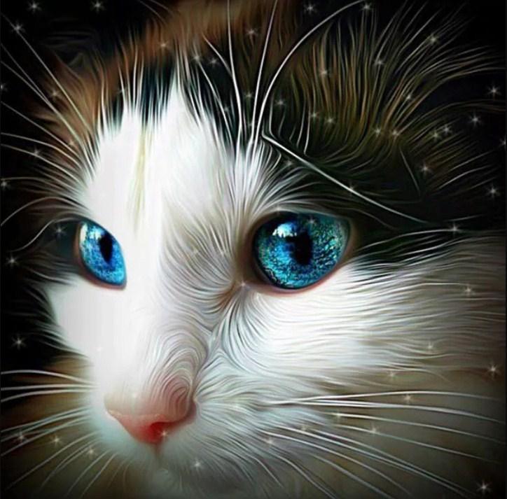 Fascinating Cat with Blue Eyes - diamond-painting-bliss.myshopify.com