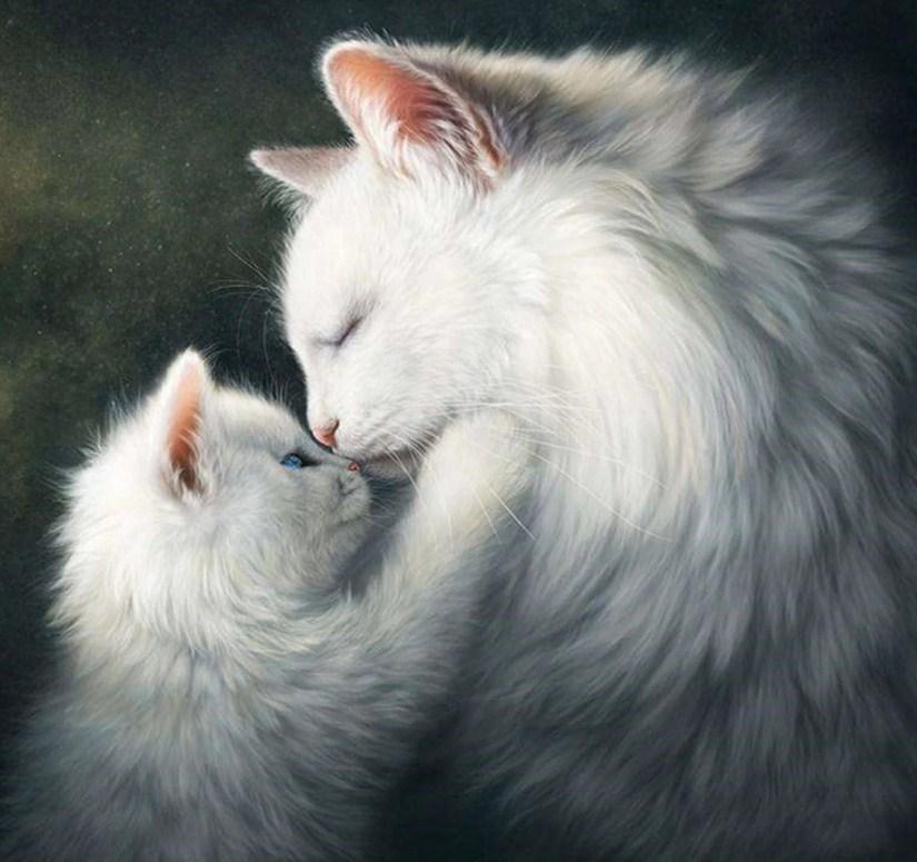 Fluffy White Cats - diamond-painting-bliss.myshopify.com