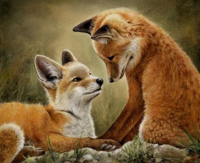 Fox Cubs - Paint by Diamonds - diamond-painting-bliss.myshopify.com
