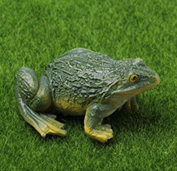 Frog - Paint by Diamonds - diamond-painting-bliss.myshopify.com