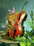 Frog Playing Guitar - diamond-painting-bliss.myshopify.com
