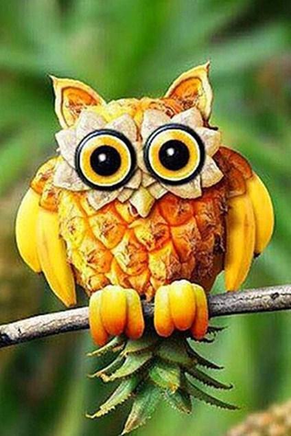 Fruit Carvings of Owl - diamond-painting-bliss.myshopify.com