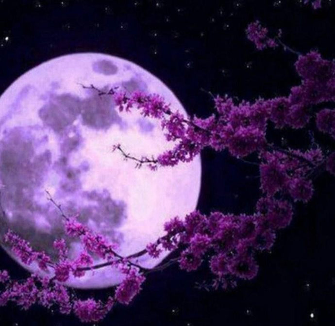 Full Moon Diamond Painting Kit - diamond-painting-bliss.myshopify.com
