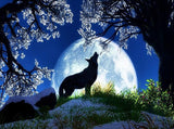 Full Moon & Howling Wolf - diamond-painting-bliss.myshopify.com